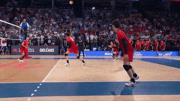 Japan Celebrate GIF by Volleyball World