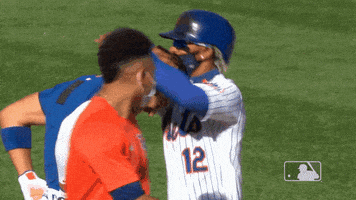 Happy Ny Mets GIF by New York Mets
