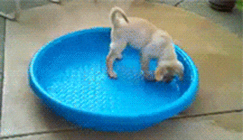 Goofing Off Wednesday Morning GIF