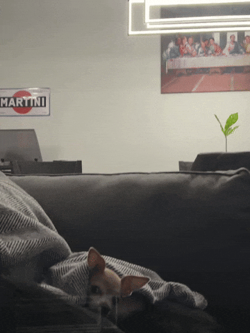 Big GIF