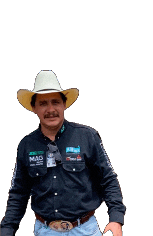 Nelore Sticker by confiboioficial