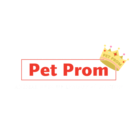 Animal Rescue Fun Sticker by Animal Rescue League Boston