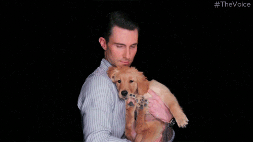 Adam Levine Dog GIF by The Voice - Find & Share on GIPHY