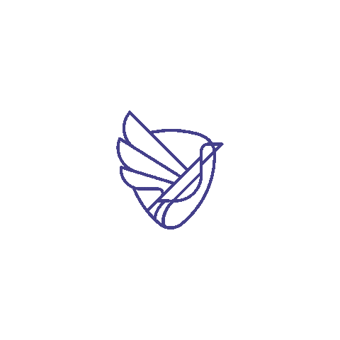 Tyler Robinson Foundation Sticker