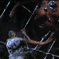 the fly horror movies GIF by absurdnoise
