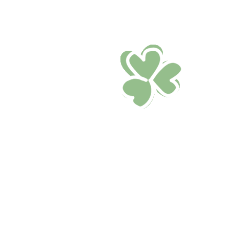 Ef Education First Dublin Sticker by efmoment