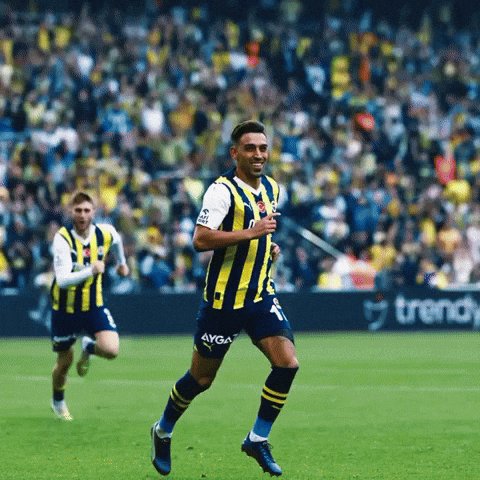 Fenerbahçe GIF by KralBet