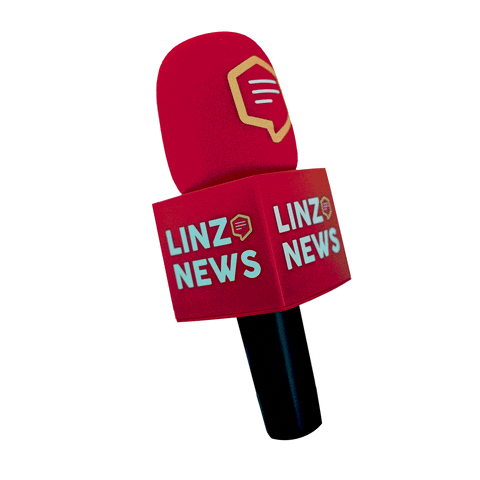 Interview Breaking GIF by Linz News