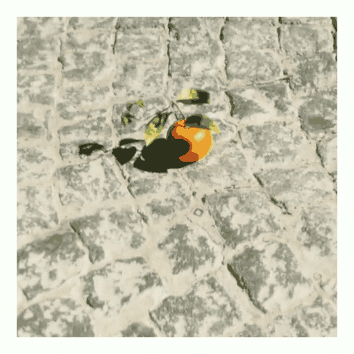 Pixel GIF