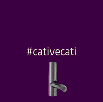 GIF by cativecati