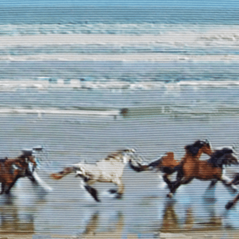 Glitch GIF