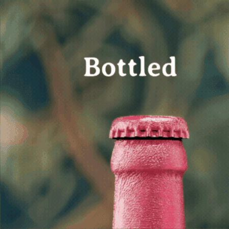 Cheers Bottle GIF by Lindemans