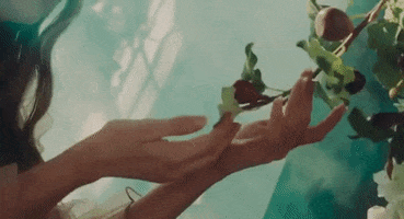 Hand Love GIF by Chymes