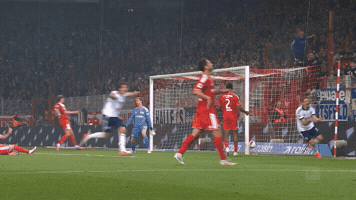 Celebration Goal GIF by FC Schalke 04