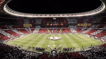 Metropolitano GIF