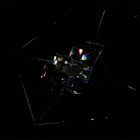 Itchy Scratchy Party GIF by Woodblock