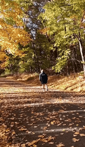 Skating GIF