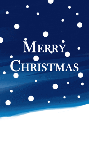 Merry Christmas GIF by WOC