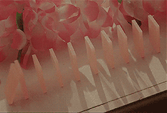 wonder girls dominos GIF