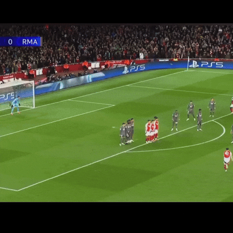 Madrid Rice GIF