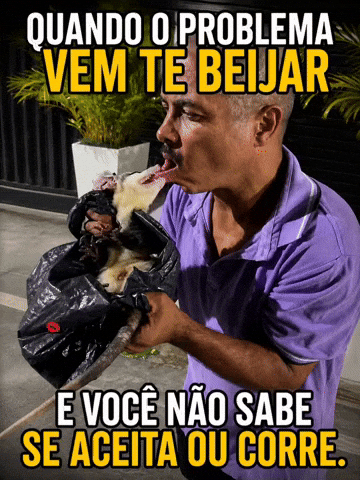 Gamba GIF