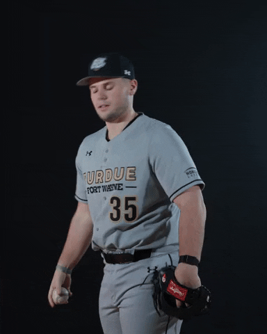 Baseball Pitch GIF by Purdue Fort Wayne Athletics