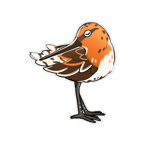Bird 鳥 Sticker