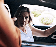 Pluribus GIF