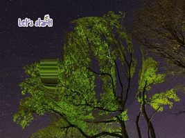 200.gif?cid=fc005b0816053b666e483f2756bd6249d9f52ab974562e6c&rid=200.gif&ct=g