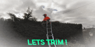 Dreamy Trim GIF