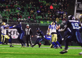 Scrambling Grey Cup GIF