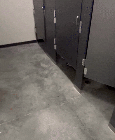 Caught Red Handed Toilet GIF