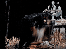 Meow Burning Up GIF