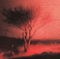 George Miller Songs GIF
