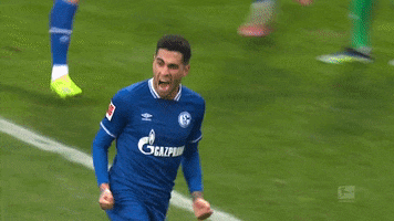 Celebrate Omar Mascarell GIF by FC Schalke 04