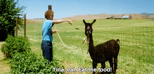 eat your food tina
