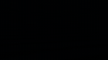 GIF by FMDerraik