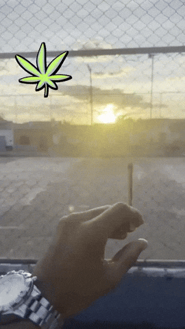 Beck GIF