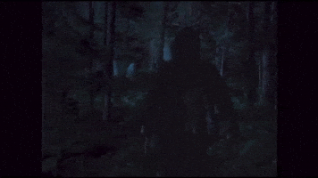 In A Violent Nature GIF