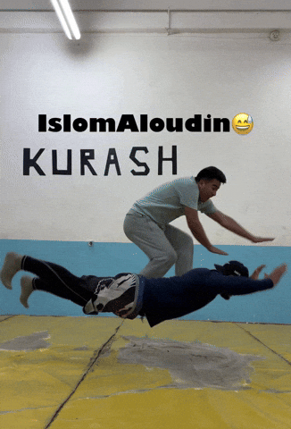 Ufc Mma GIF
