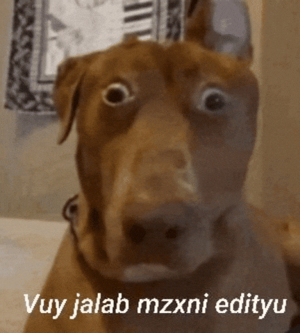 Mzx GIF
