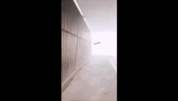 Valid GIF