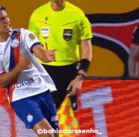 Bahiadaresenha GIF