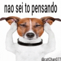 Batatamookiepink GIF