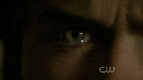 damon salvatore