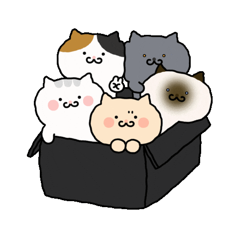 Cat Sticker