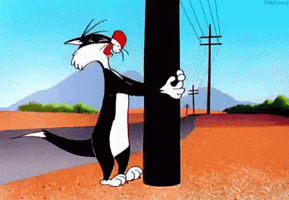 Cartoon gif. Sylvester the cat from Looney Tunes stands at the edge of the road in the desert, arms wrapped around a telephone pole, and bangs his head against it, over and over in a perfect loop. 