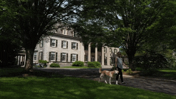 Dream School Film GIF by Rochester Institute of Technology