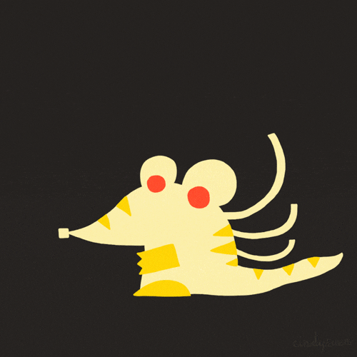 Littlecrocodileisgettingashirt GIFs Get the best GIF on GIPHY