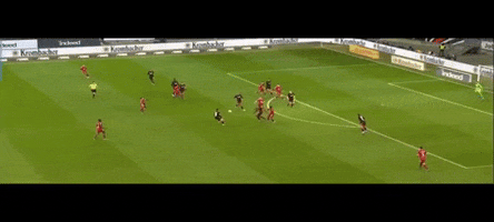 Oliver Glasner GIF